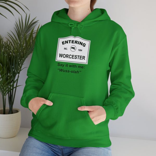 Massachusetts Worcester – Say It With Me Unisex Heavy Blend™ Hooded Sweatshirt - Image 24