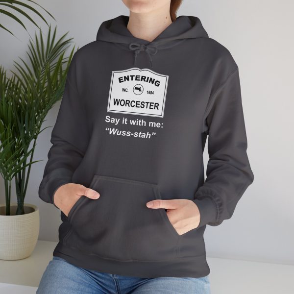 Massachusetts Worcester - Say It With Me Unisex Heavy Blend™ Hooded Sweatshirt - Image 16
