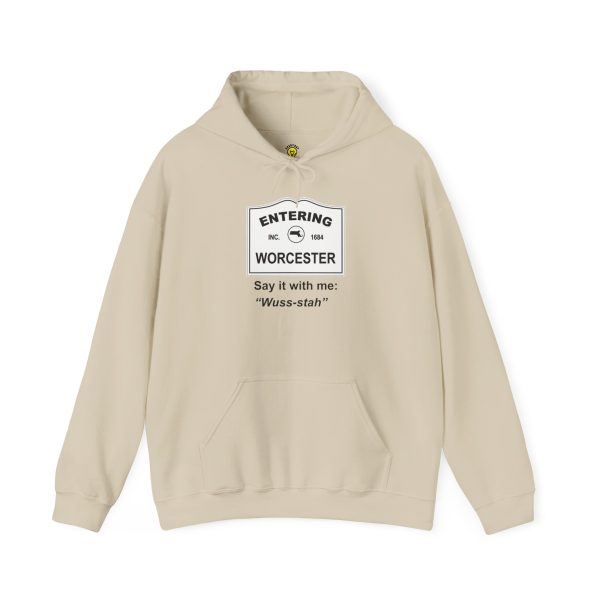 Massachusetts Worcester – Say It With Me Unisex Heavy Blend™ Hooded Sweatshirt - Image 13