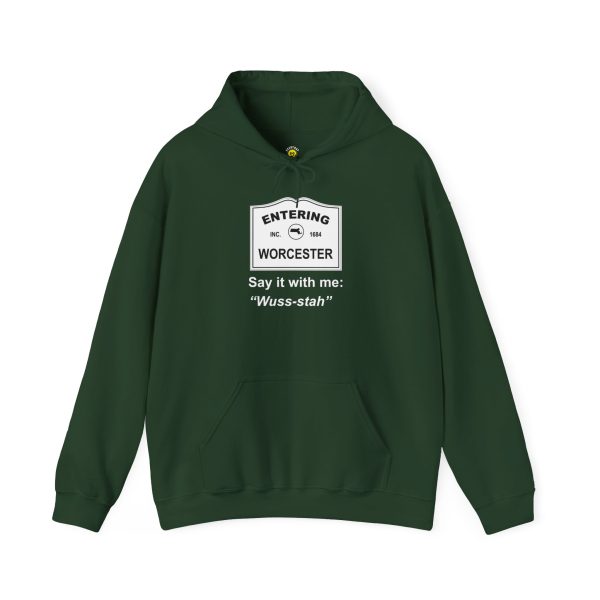 Massachusetts Worcester - Say It With Me Unisex Heavy Blend™ Hooded Sweatshirt - Image 9