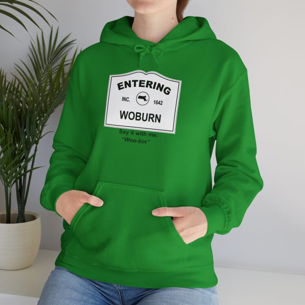 Massachusetts Woburn – Say It With Me Unisex Heavy Blend™ Hooded Sweatshirt - Image 25