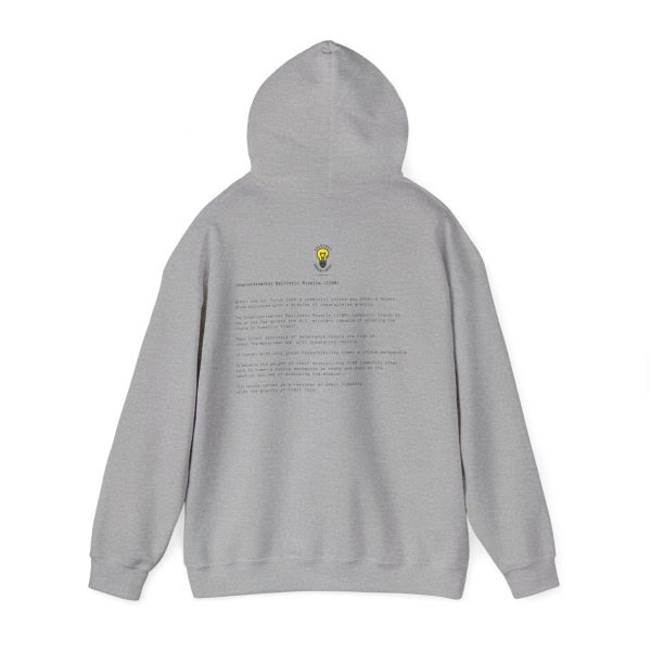 U.S. Air Force Conehead - Master - Delivery in 30 minutes or less -- Unisex Heavy Blend™ Hooded Sweatshirt - Image 19